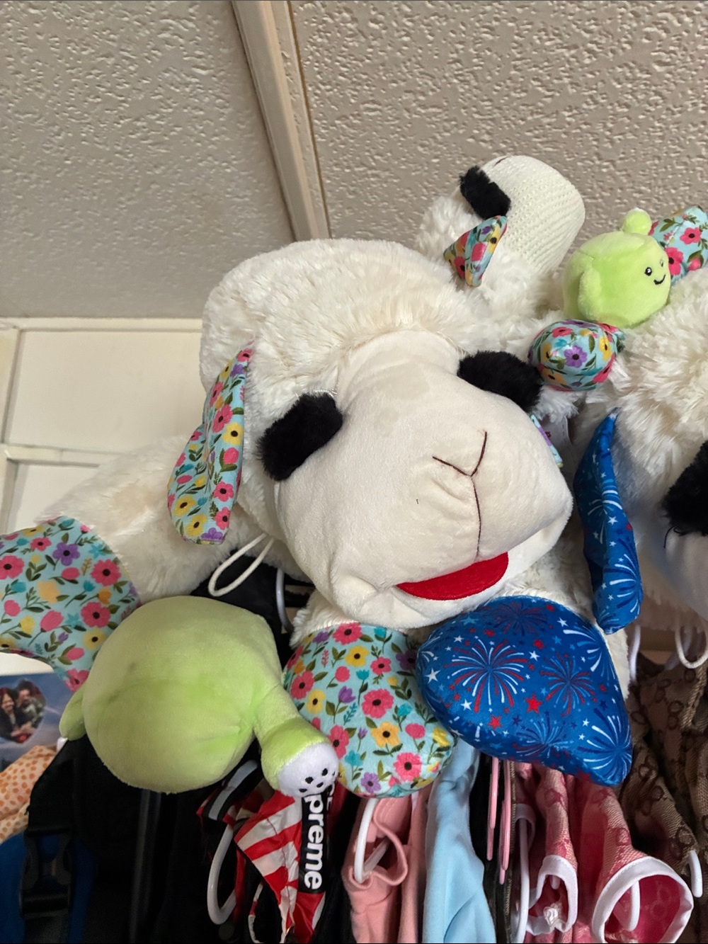 Large lambchop